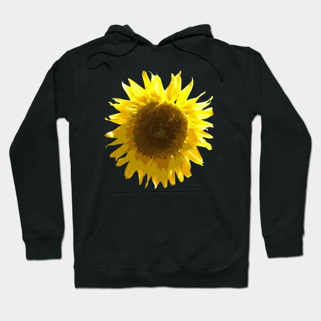 Sunflower Hoodie by hobrath